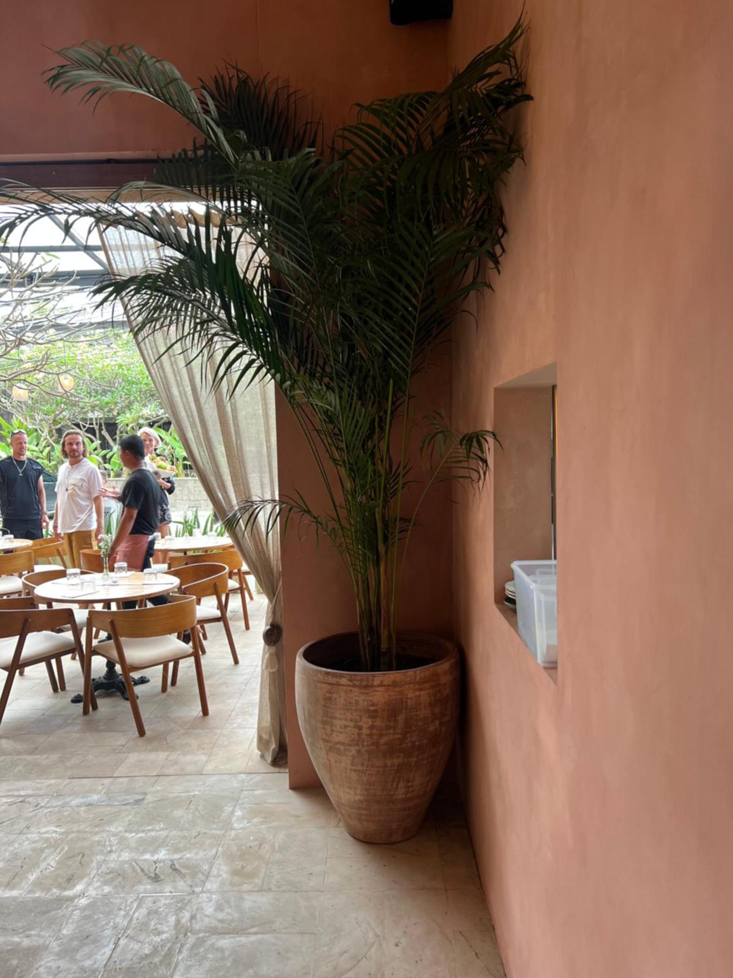 Grass Terrace Homestay Canggu  Ngoại thất bức ảnh